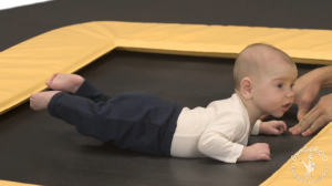 GymbaROO Trampoline